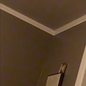 Meet your Posher, Noah